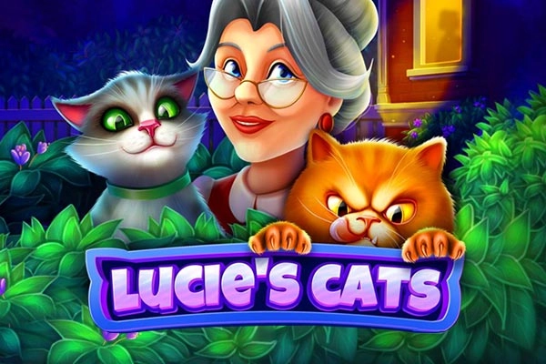01919 lucies cats