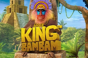 23170 king bambam